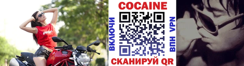 Купить закладки  Элиста  Cocaine FishScale 