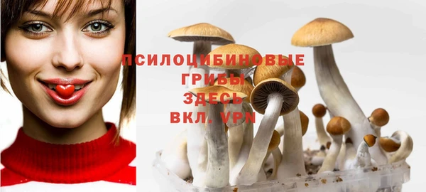 экстази Богородицк