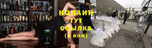 мескалин Богданович