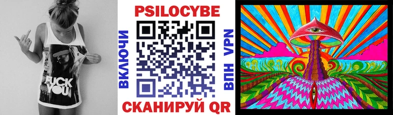 Галлюциногенные грибы Psilocybine cubensis  Купить где  Элиста 